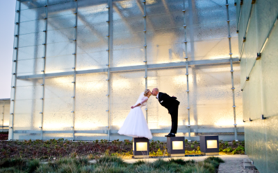 Studio Grafit - Fotografia, kamerzysta,  lustrzanki